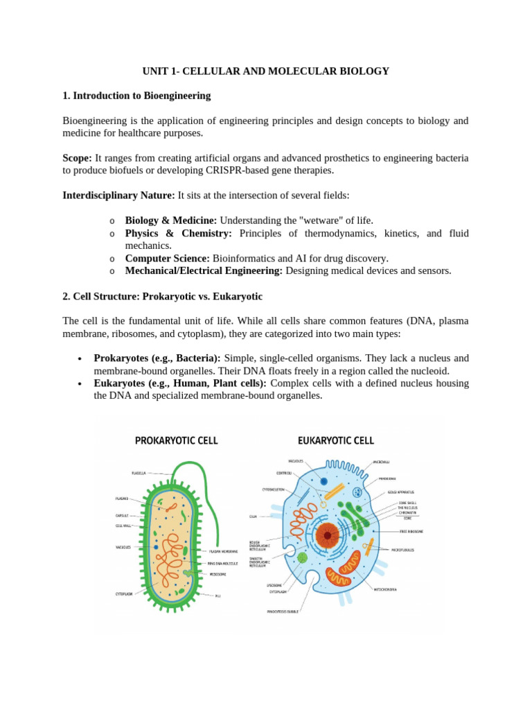 Fundamental of BioEngineering Notes | PDF