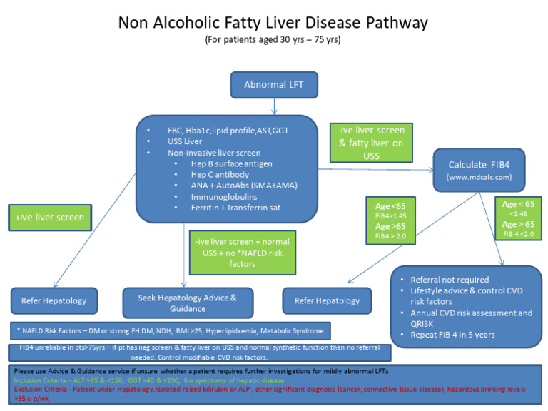 Non Alcohol Fatty Liver Disease Pathway | PDF