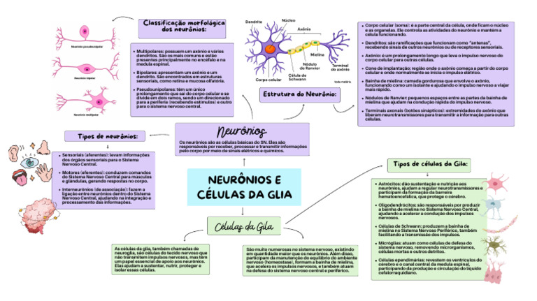 Neurônios e Células Da Glia | PDF | Neurônio | Axônio