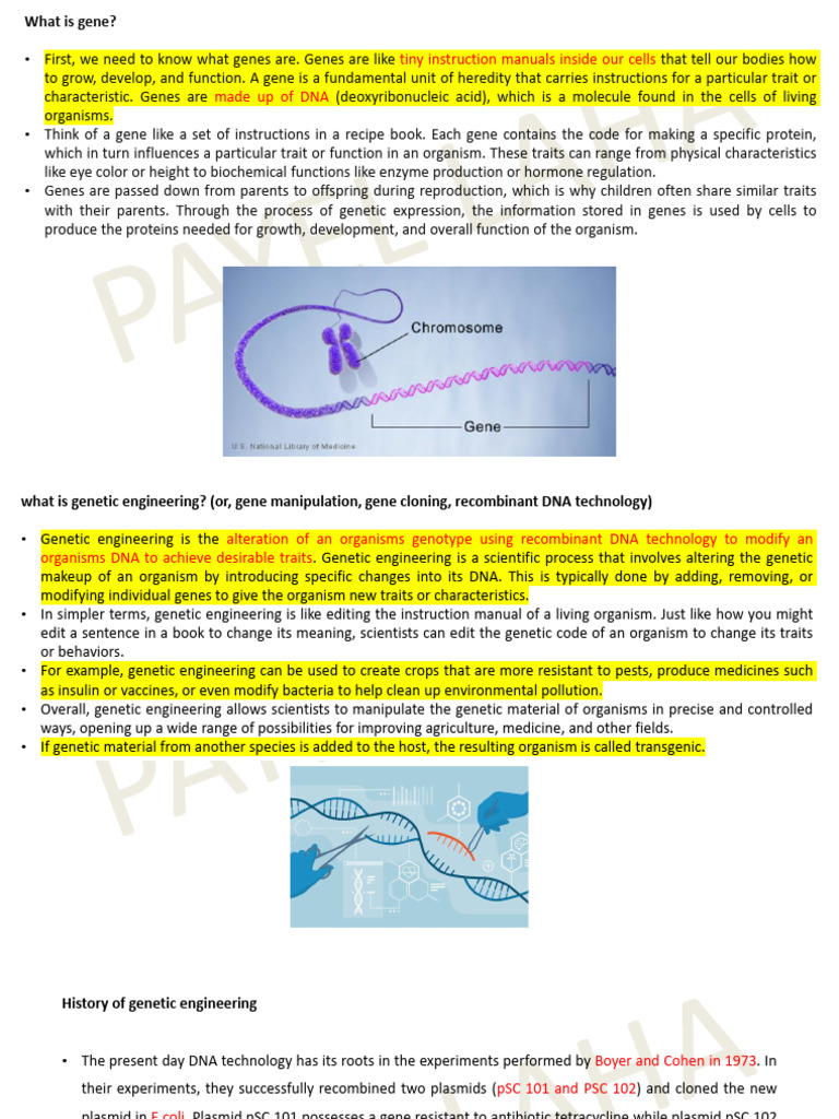 Genetic Engineering Basic Principles and Cloning Vector, RE and DNA ...
