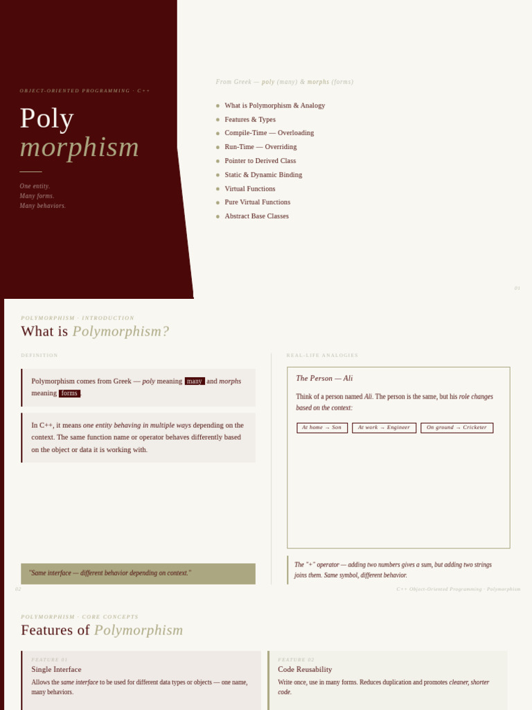 Polymorphism - Completed First Part | PDF