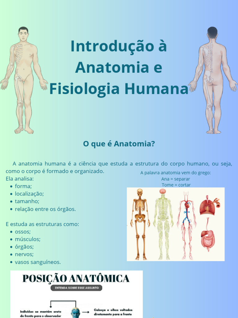 Introdução À Anatomia e Fisiologia Humana | PDF