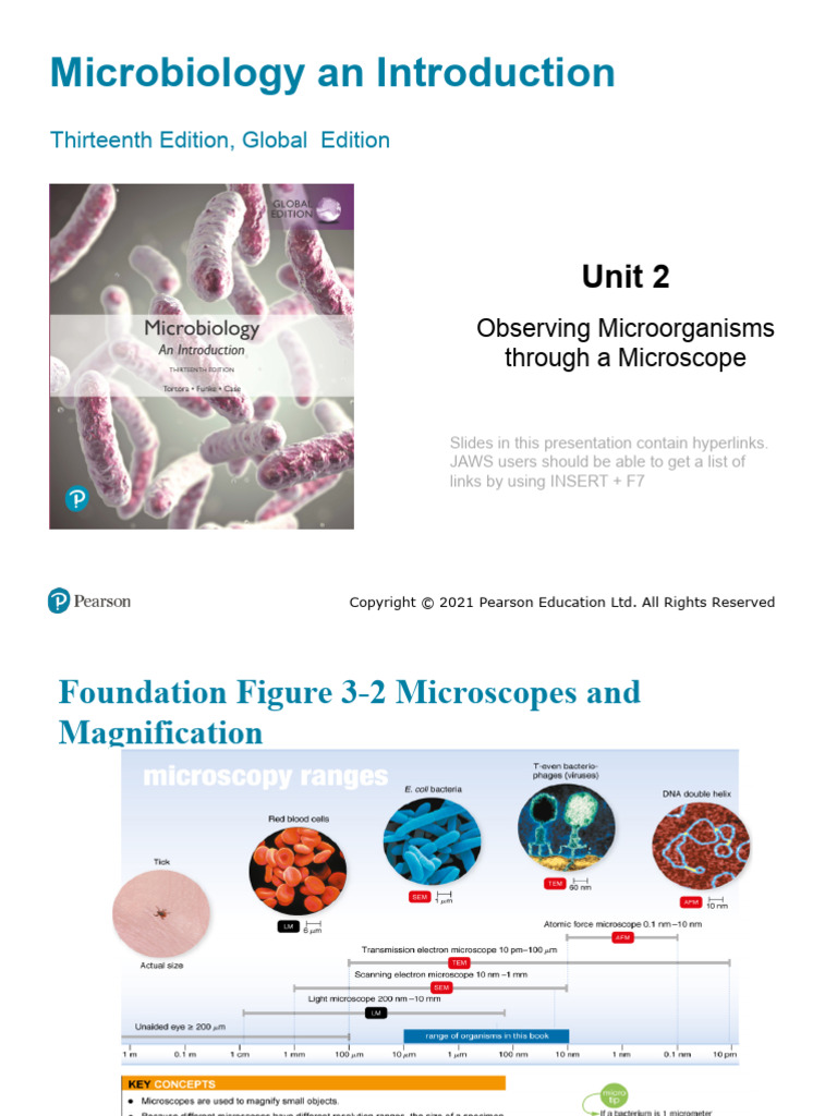 Unit 2 | PDF