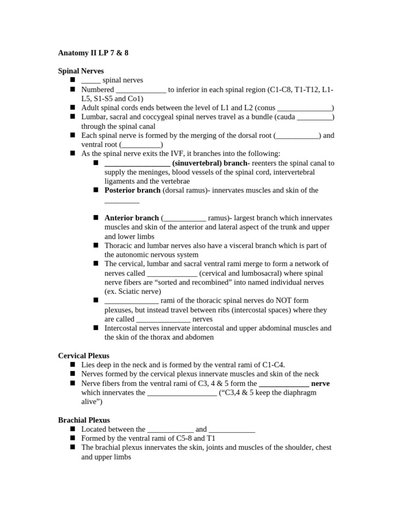 Anatomy II LP 7 & 8 Handouts | PDF