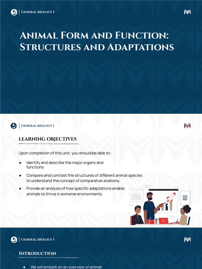 Animal Form and Function Structures and Adaptations | PDF