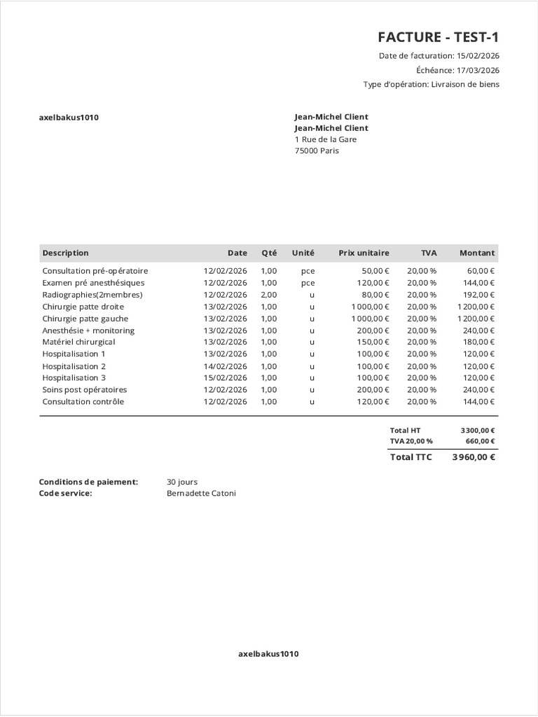 Invoice Test-1 - Axelbakus1010 | PDF