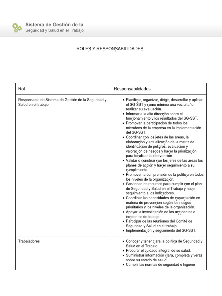 Roles y Responsabilidades | PDF
