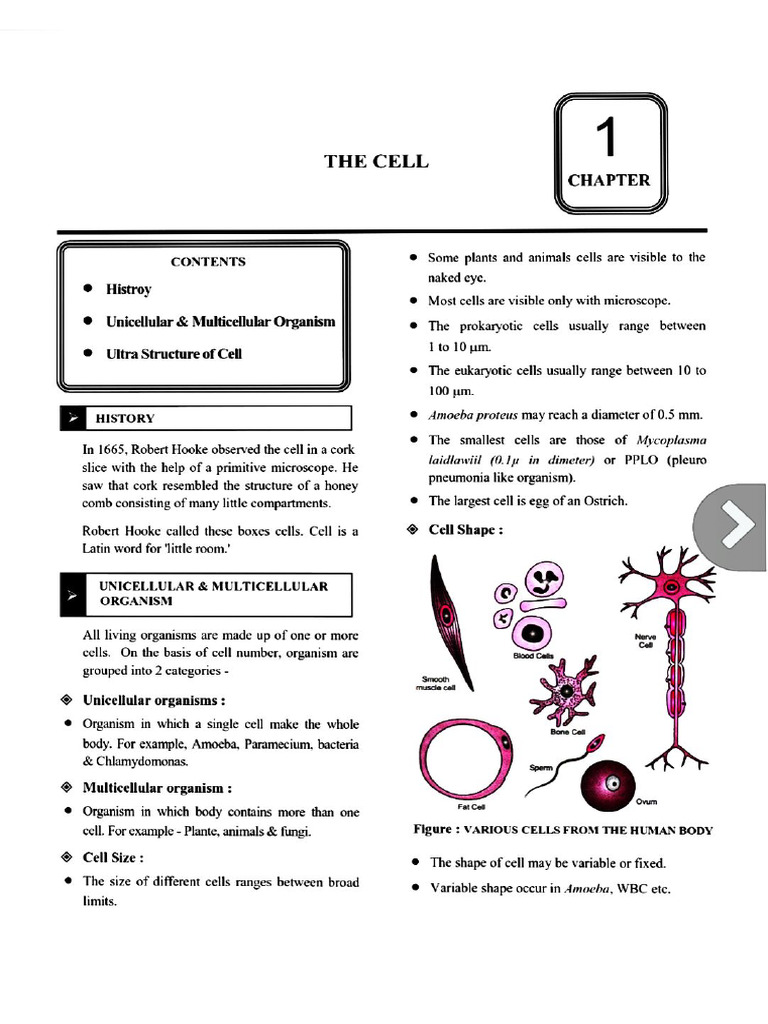 Cell | PDF