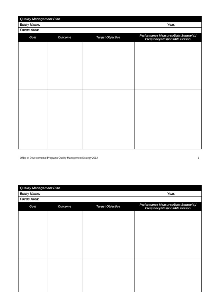 Entity Quality Management Plan Template | PDF