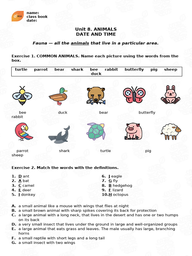 Unit 8. Class Book, Answer Sheet | PDF