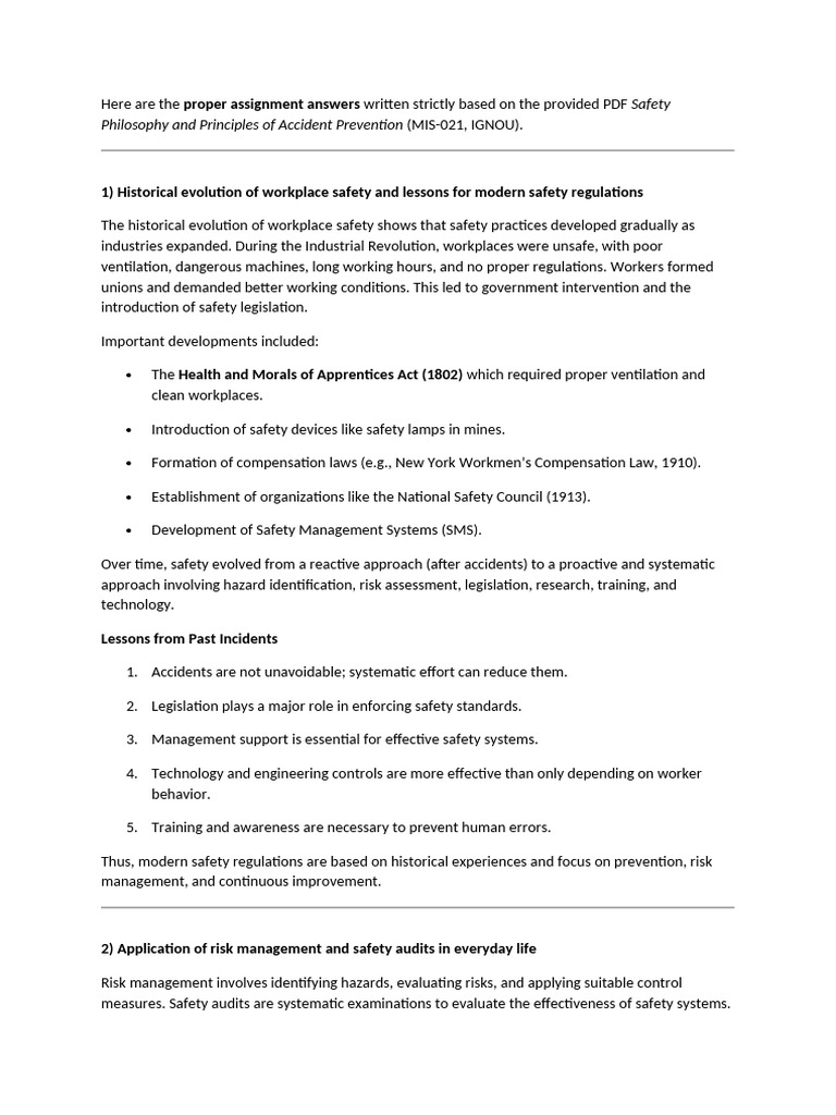 MIS 21 Assignment Notes | PDF