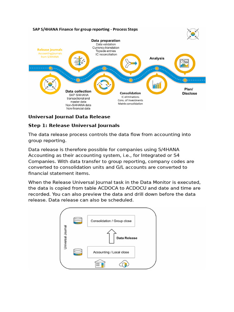 Consolidating External Company Codes in S4HANA | PDF