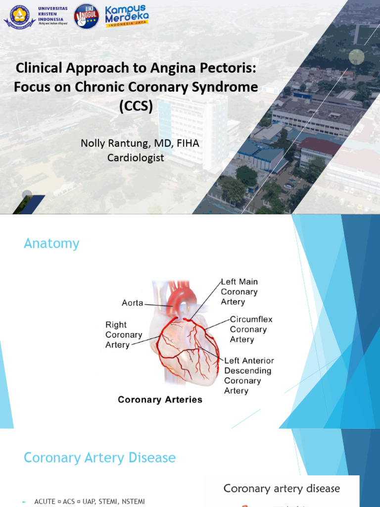Angina Pectoris | PDF