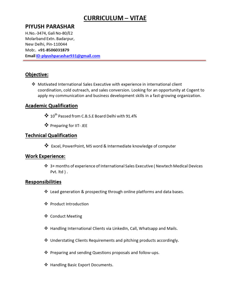 Piyush - International Sales Executive | PDF