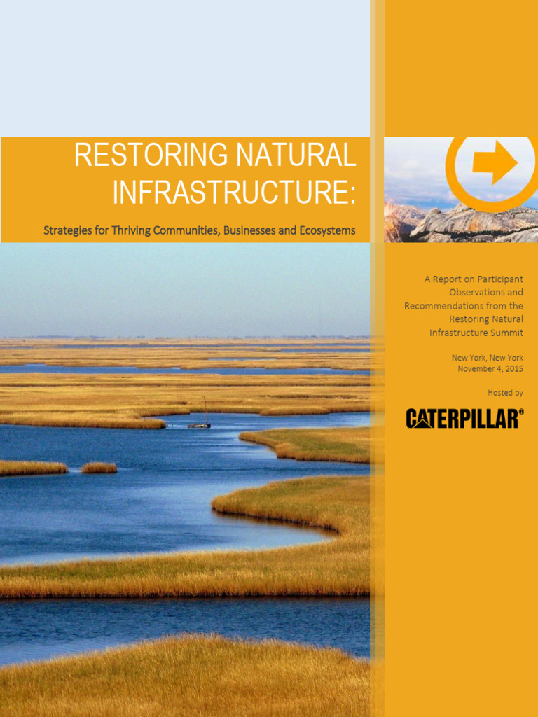 Restoring Natural Infrastructure | PDF