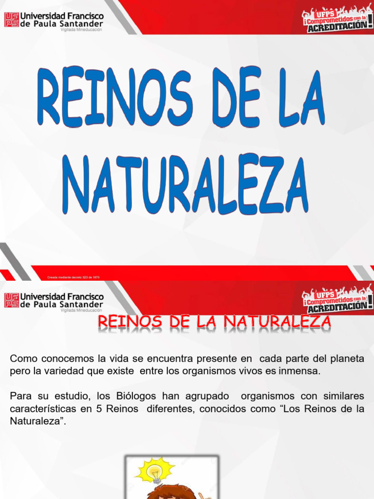 Clase de Ecologia Clasificacion y Ecosistemas | PDF