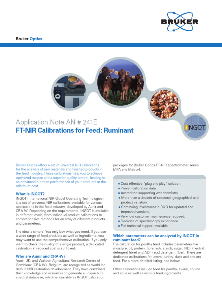 AF241 Ingot Feed Ruminant Flyer | PDF