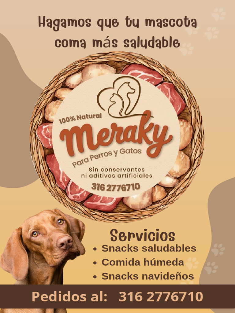 Meraky | PDF