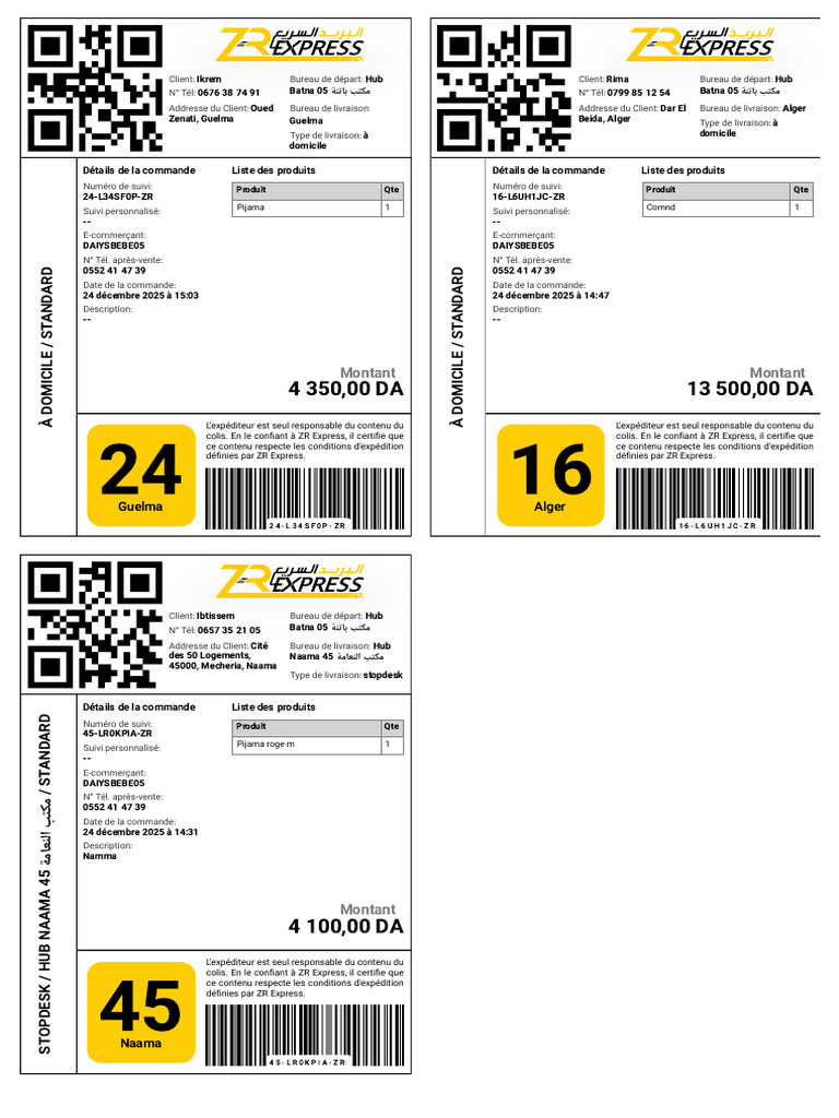 ZR Express - Delivery Management System | PDF