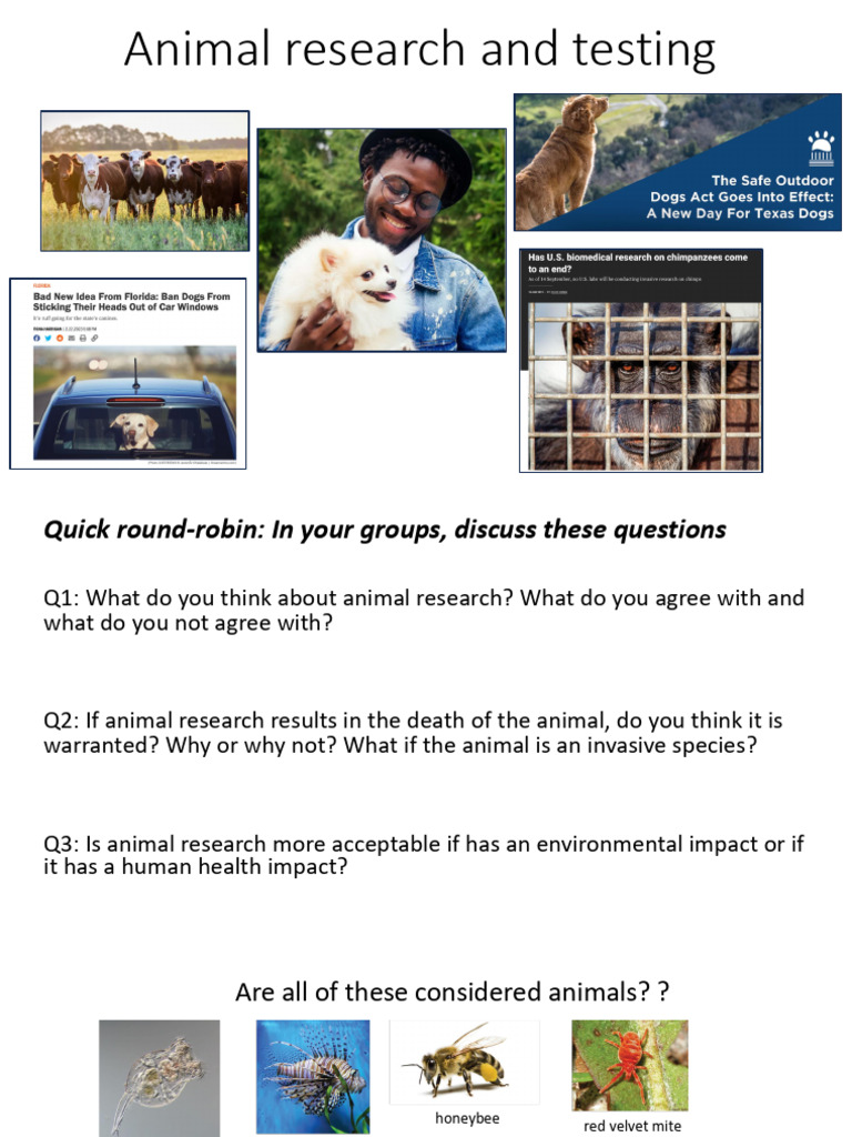 12 - Animal Research and Testing v2 | PDF