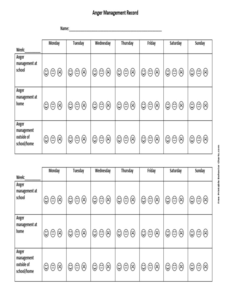 Anger Managemet Record | PDF