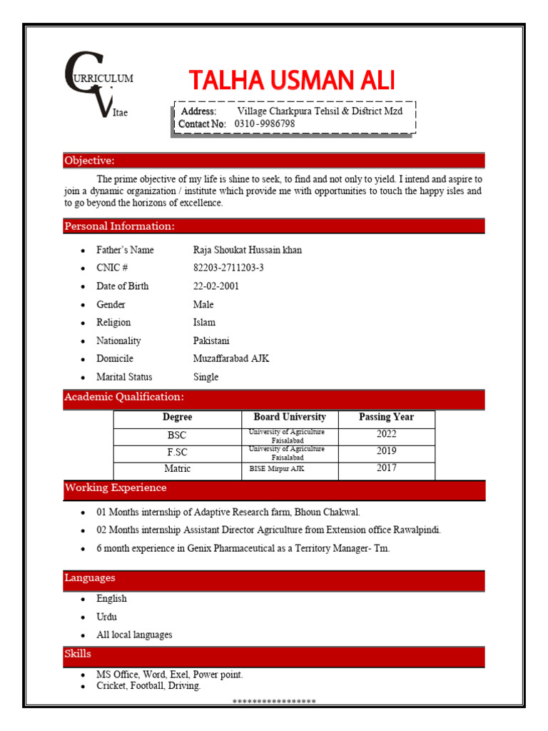 CV Ali PDF | PDF