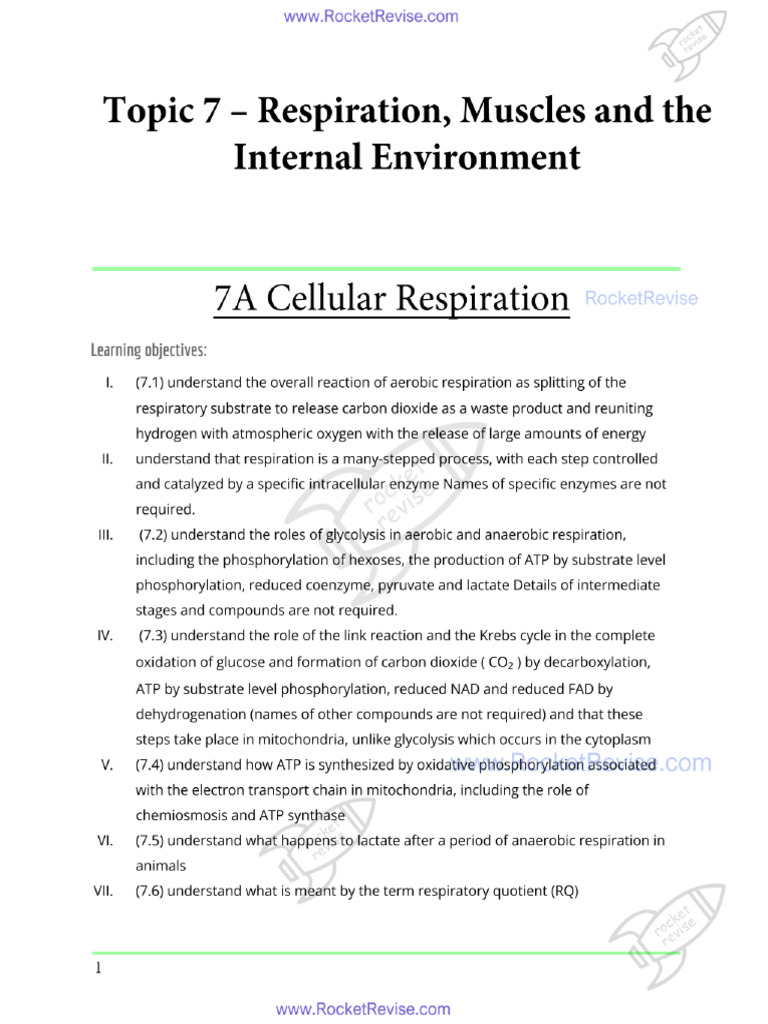 Unit 5 Final | PDF