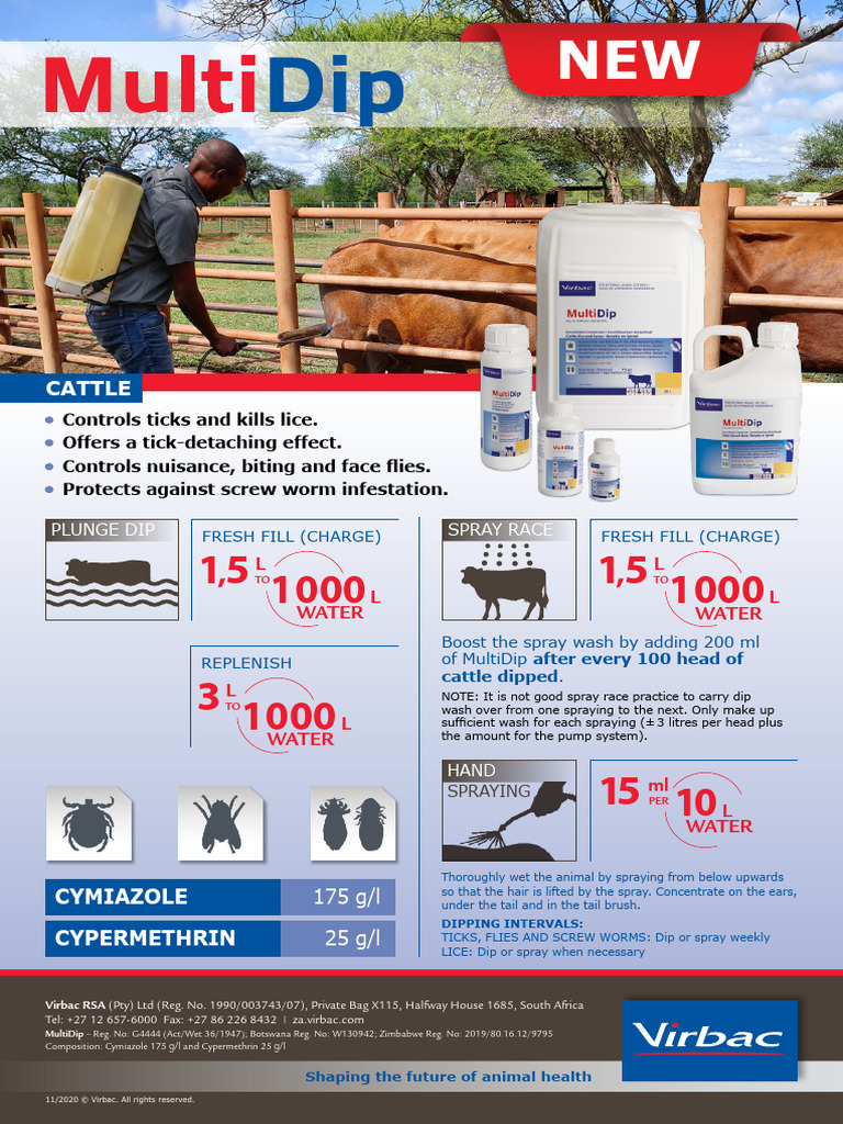 MultiDip RSA A5Leaflet | PDF