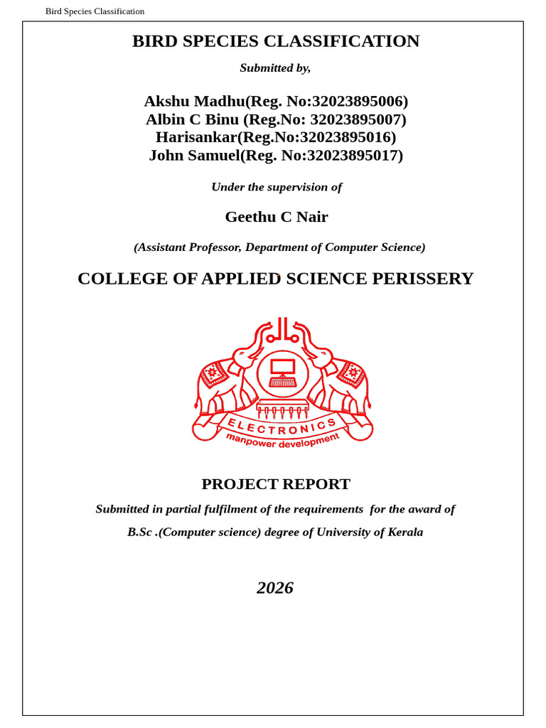 Bird | PDF