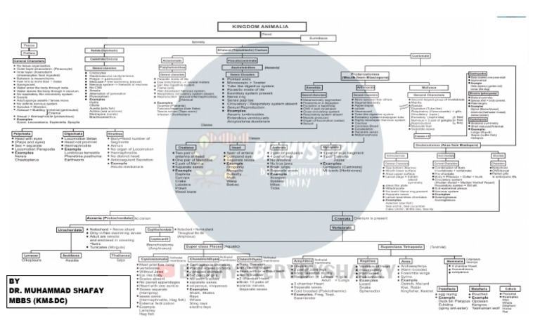 GGVB 9 Kyfjuuxj 4 TF 40 CP | PDF
