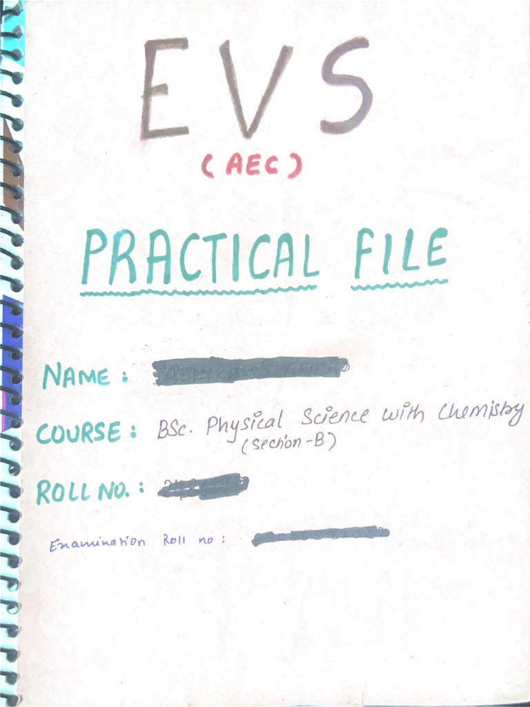 EVS-1 - Practical Outreach Activities Files - SAMPLE | PDF