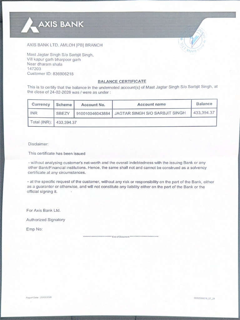 Balance Certificate | PDF