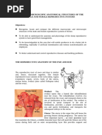 Goat Reproductive Anatomy Overview | PDF | Testicle | Reproductive System