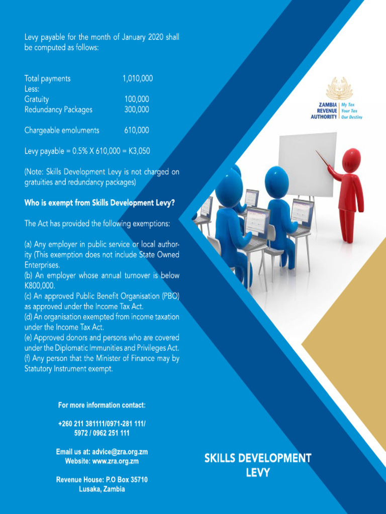 Skills Dev. Leaflet | PDF
