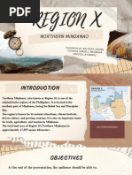 Overview of Region 10 Provinces and Cities | PDF | Philippines