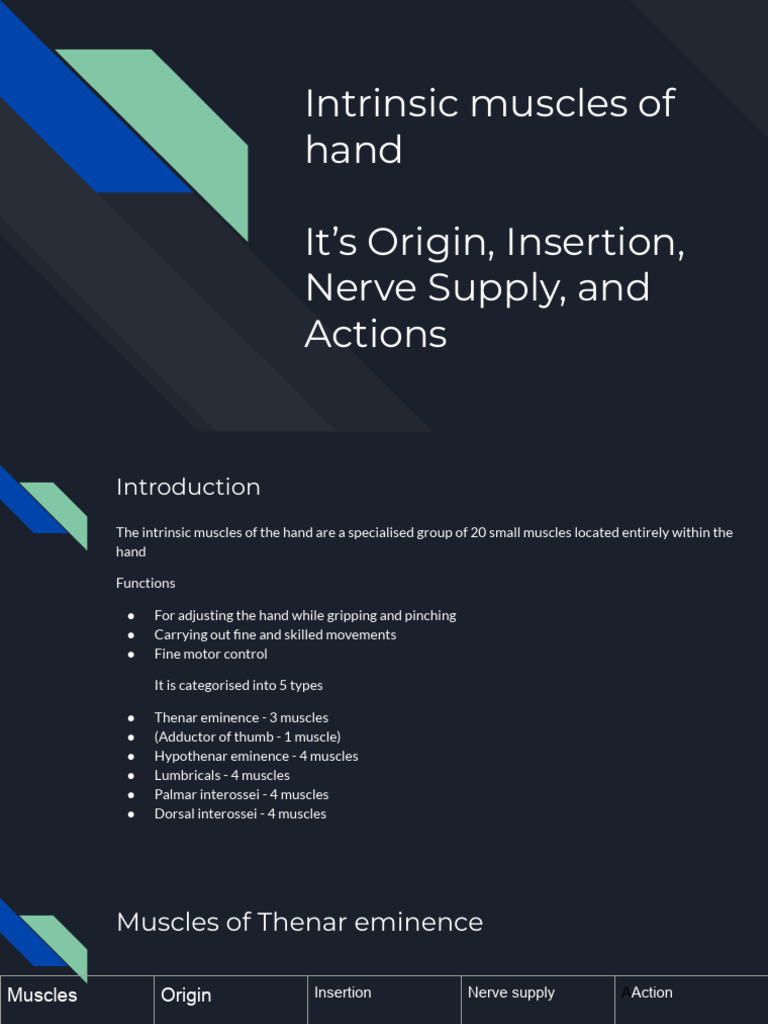 Intrinsic Muscles of Hand | PDF