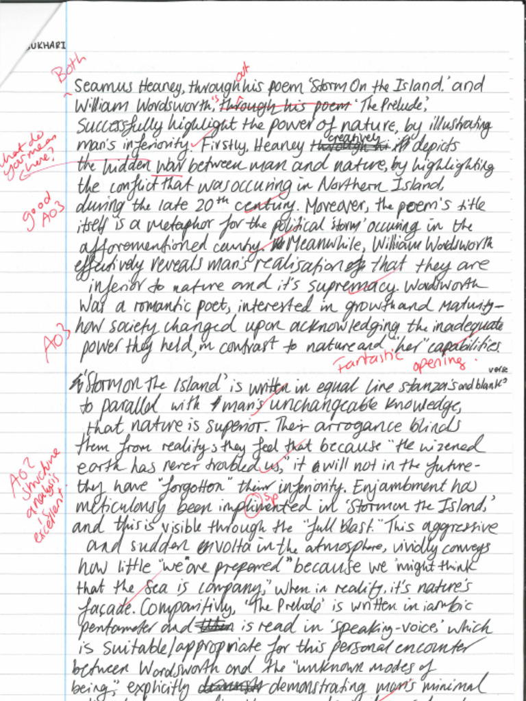 Exemplar Response - Grade 8 | PDF