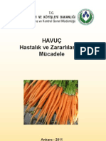 havuc_hastaliklari