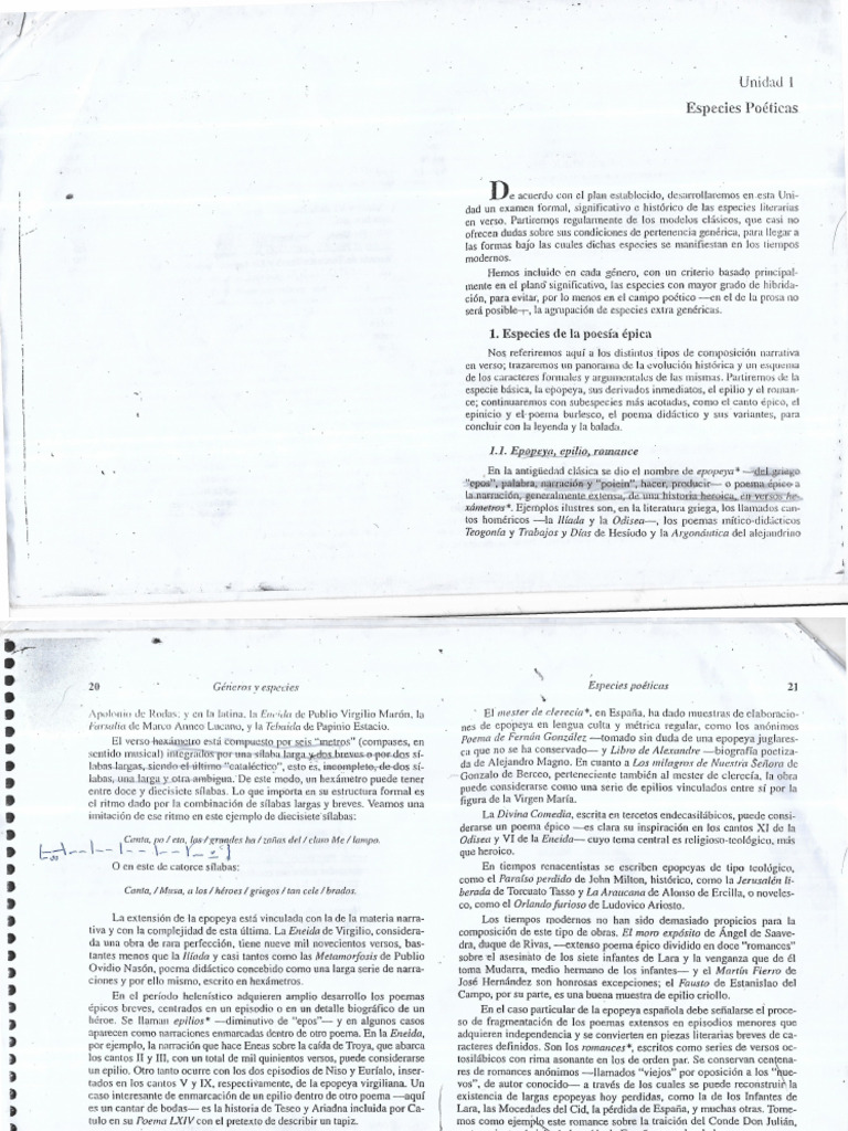 Documento 2026-02-26 032750 | PDF