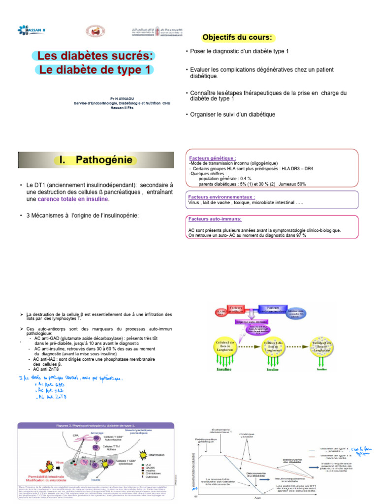 02 Le Diabète de Type 1 | PDF | Îlot de Langerhans | Troubles du ...