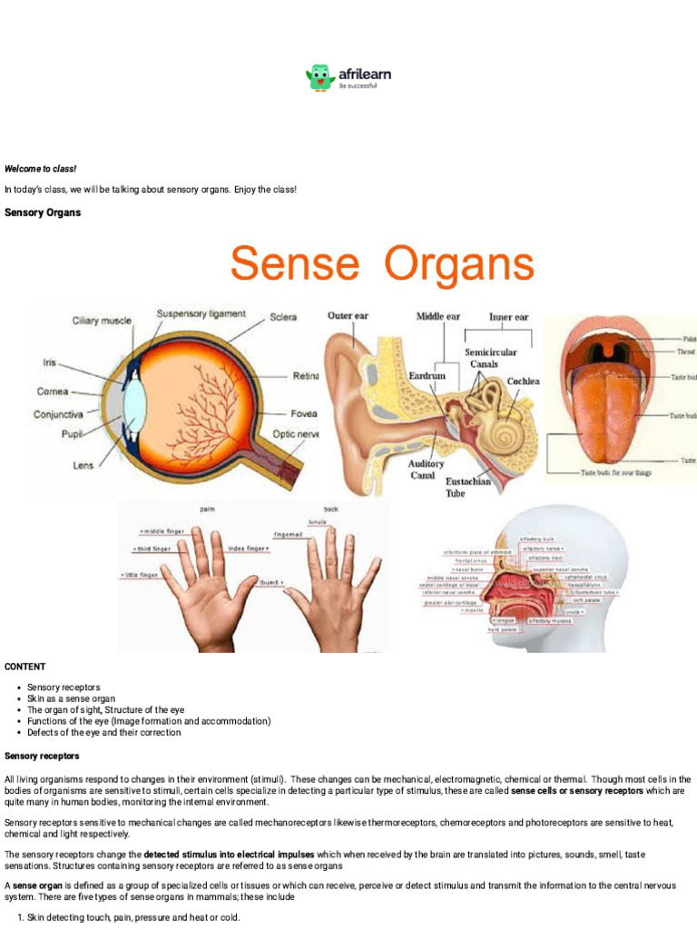 Afrilearn ClassNotes - SSS 3 - Biology - First Term - Sensory Organs ...