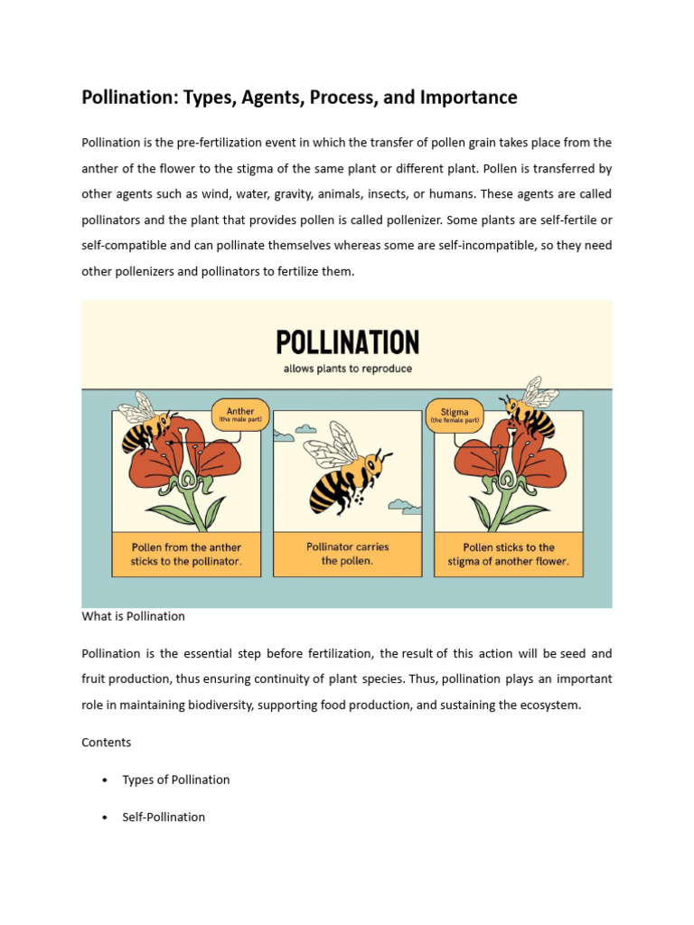 Pollination | PDF