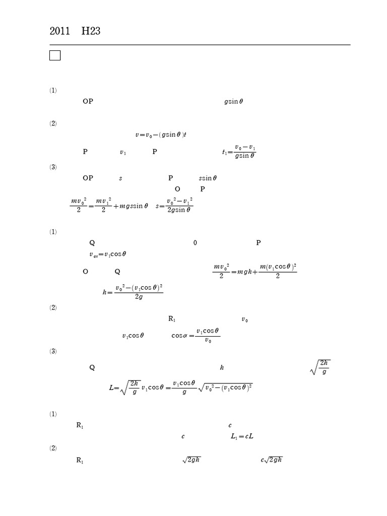 2011nigata Buturi | PDF