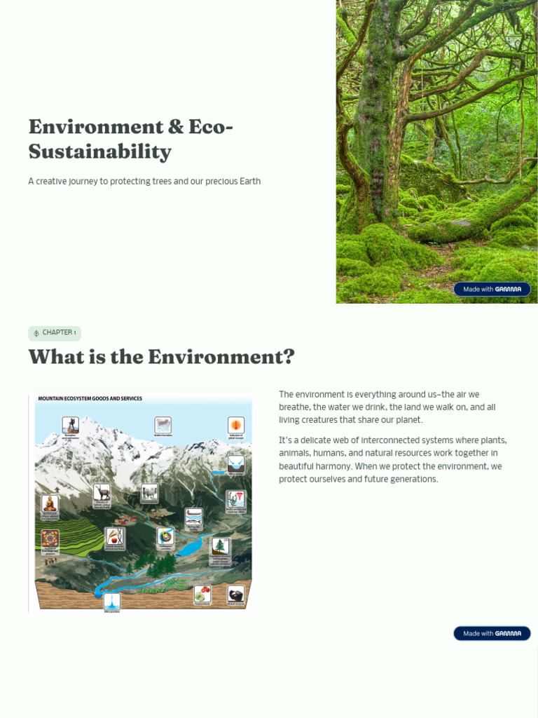 Environment and Eco Sustainability | PDF