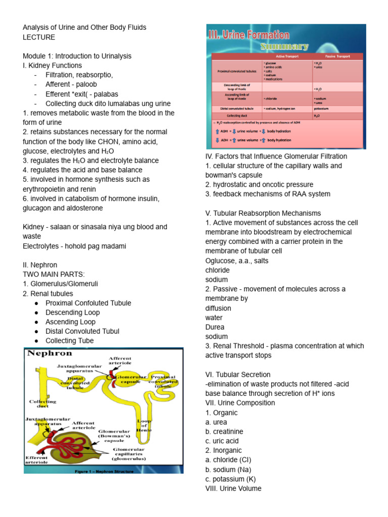 Aubf Lec 1 | PDF
