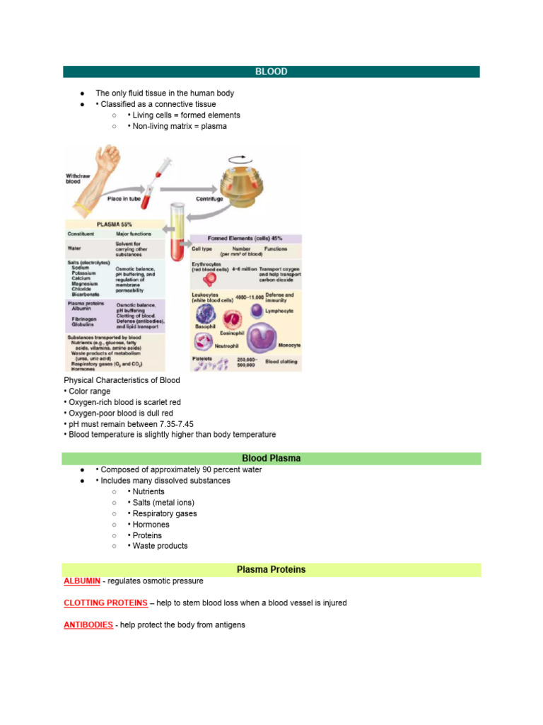 BLOOD | PDF