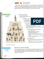 Nelson Social Structure