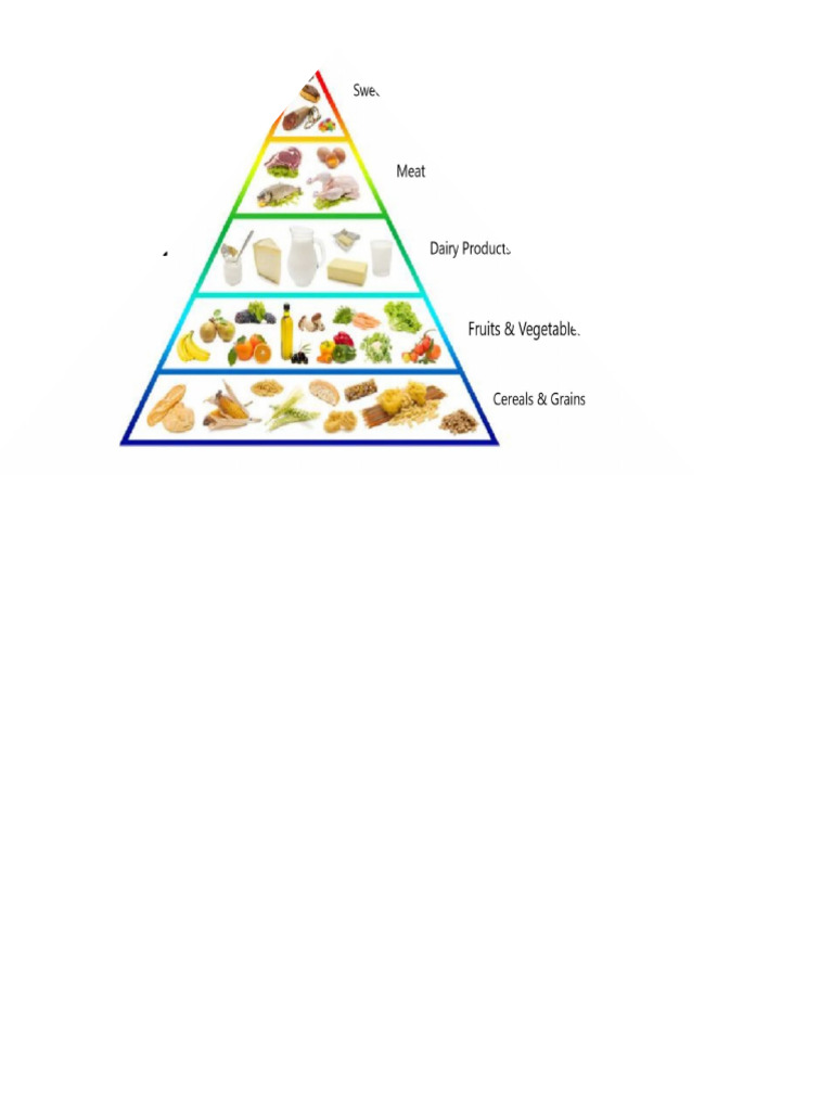 Food Chain | PDF