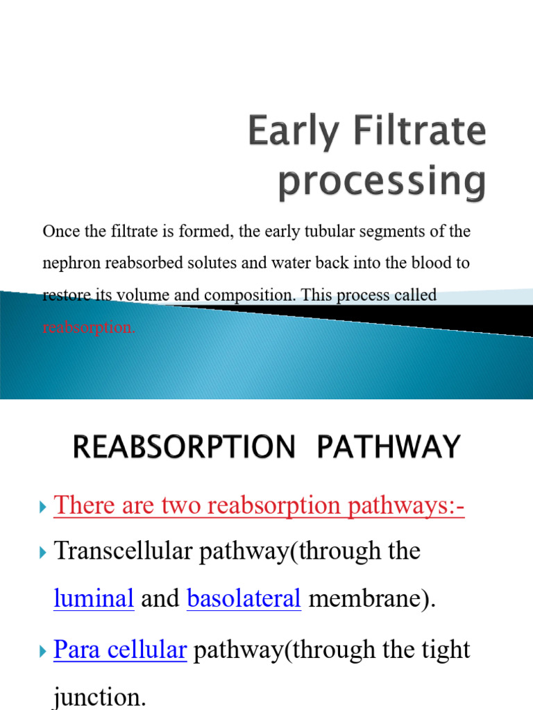 Early Filtrate | PDF