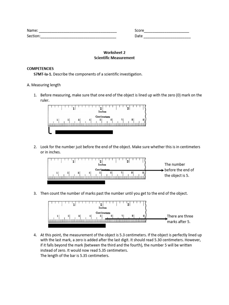 Measurement Worksheet | PDF
